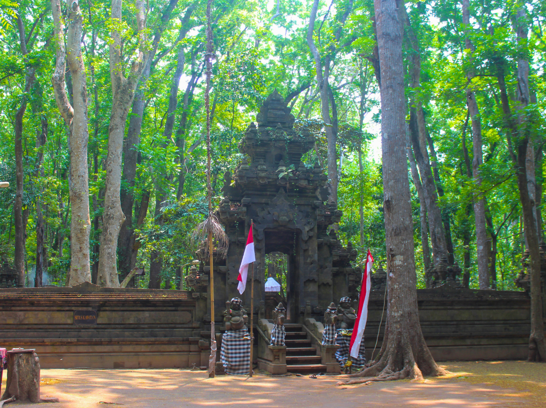 Ijen Caldera Cluster 1 (Alas Purwo National Park)